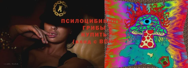 индика Дмитровск