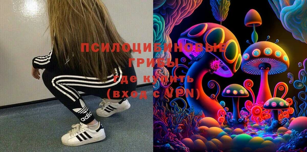 стаф Дмитриев