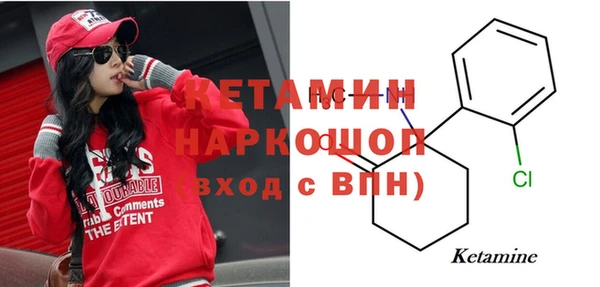 стаф Дмитриев