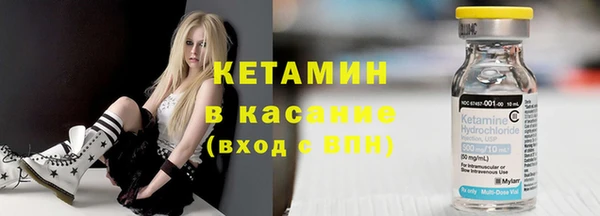 стаф Дмитриев
