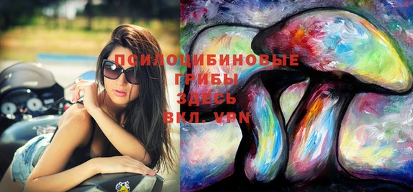 индика Дмитровск
