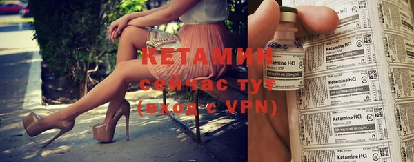 индика Дмитровск