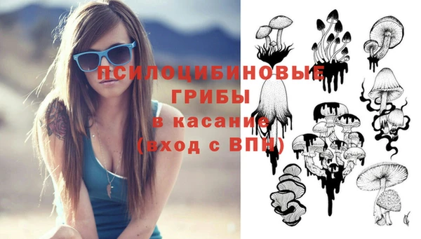 стаф Дмитриев