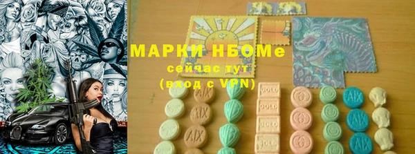 индика Дмитровск