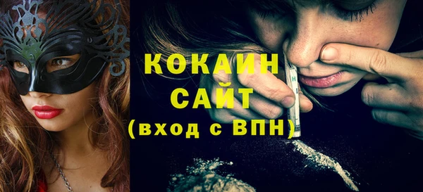 стаф Дмитриев