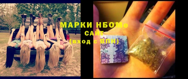 индика Дмитровск