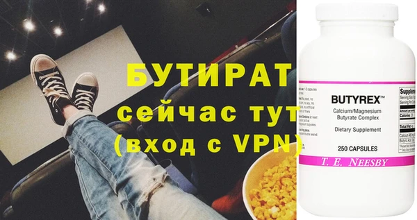 индика Дмитровск