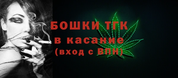 индика Дмитровск