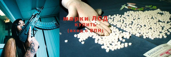 индика Дмитровск