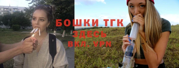 индика Дмитровск