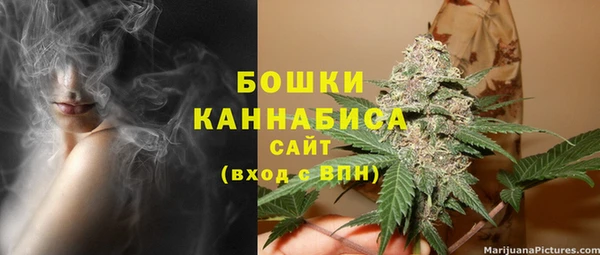 индика Дмитровск