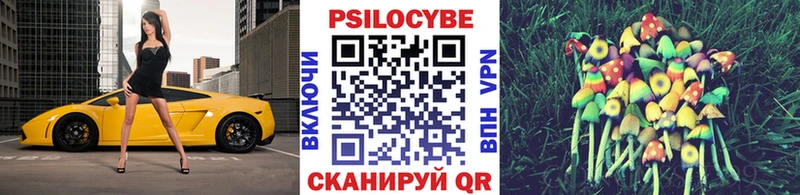 Галлюциногенные грибы Psilocybine cubensis  где можно купить наркотик  МЕГА ТОР  Зверево 